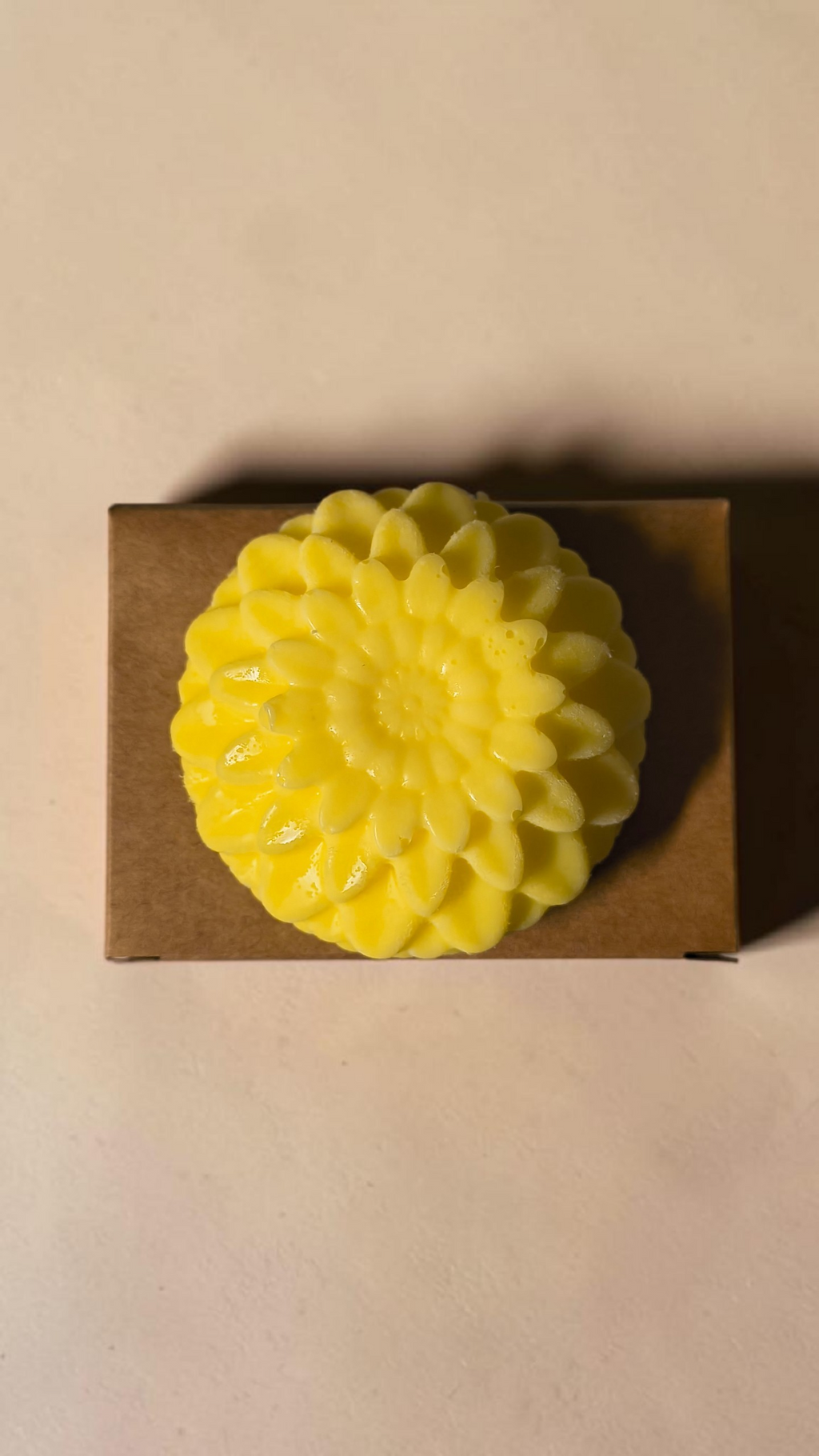 Vanilla Bean and Oatmeal Honey Handmade Soap